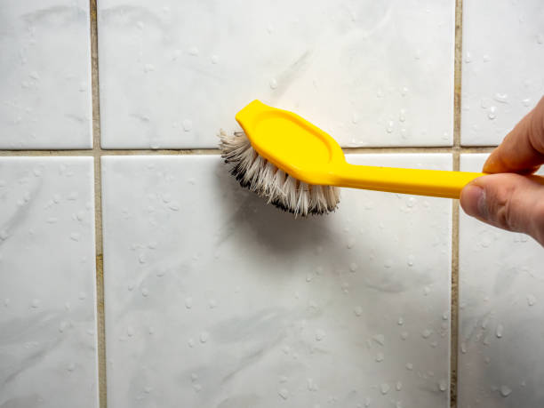 Best Mold Testing  in New Market, VA