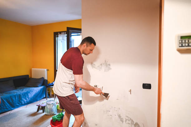 Best Same-Day Mold Removal  in New Market, VA